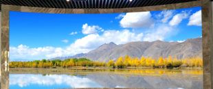 小間距l(xiāng)ed顯示屏未來(lái)的發(fā)展前景怎么樣？
